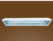 Đèn tuýp huỳnh quang chống nổ chống lửa không phát tia lửa điện lắp âm trần IP65 Hankuk Hàn quốc (KS) Tân Viễn Cảnh